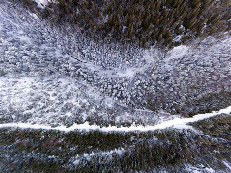 Aerial View Of Winter Forest Covered In Snow Drone Photography