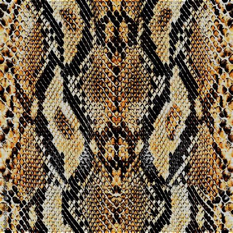 Snake Skin Pattern Texture Lines Design Stock Illustration Adobe Stock