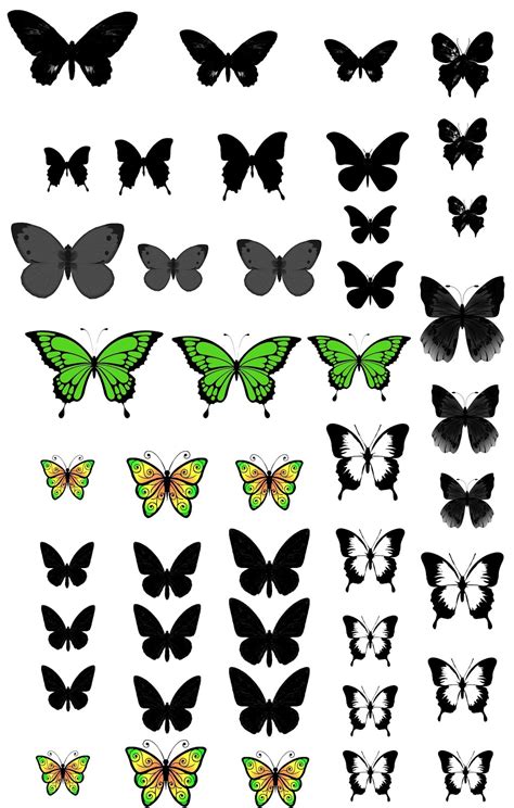 Bagaimana menggambar kupu kupu tahap demi tahap. Koleksi Sketsa Gambar Kupu Kupu Simpel | Aliransket