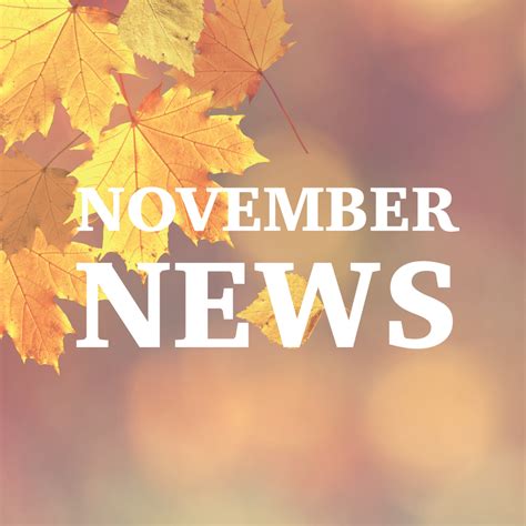 November Newsletter - The Reform Alliance