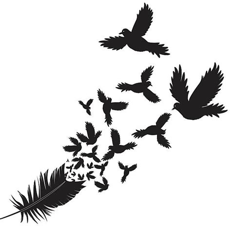 Raven Feather Illustrations Royalty Free Vector Graphics And Clip Art