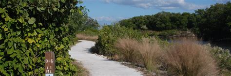 Loop Hikes In Florida Florida Hikes