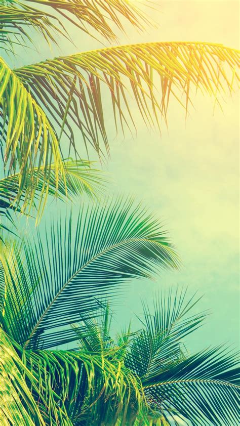 20 Lovely Summer Phone Wallpapers - Ideasdonuts