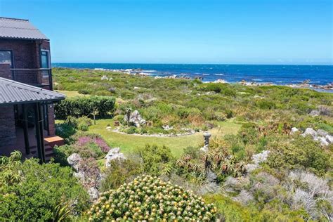 Bettys Bay Vacation Rentals And Homes Western Cape South Africa Airbnb