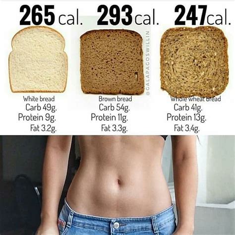 white bread vs brown bread vs whole wheat bread 100 g of each which one would you like to eat