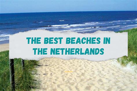 The Best Beaches In The Netherlands