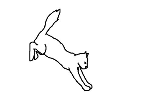 Cat Line Art Beautifully Simple Illustrations
