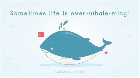 Funny Whale Quotes Shortquotescc