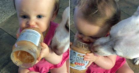 Mother Films Daughter And Dog Licking From Same Peanut Butter Jar