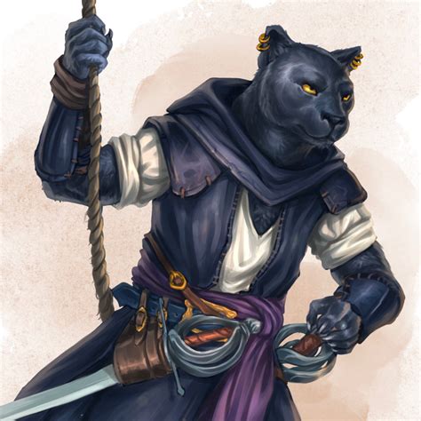 Dandd Tabaxi Commission Gaston S Garcia Character Inspiration