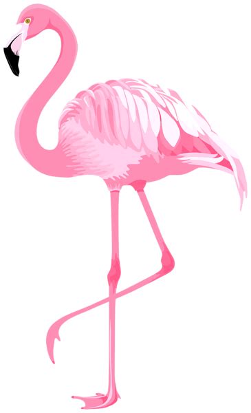 Pink Flamingo Png Clipart In 2023 Flamingo Art Print Flamingo