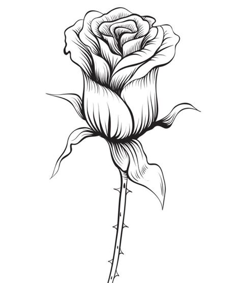 Coloring Pages Of Rose Yunus Coloring Pages