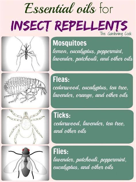 Make Your Own Insect Repellent With Essential Oils | Mosquito repellent ...