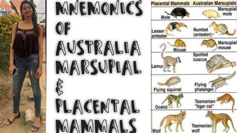 Tricks For Placental Mammals And Australian Marsupial Convergent Evolution Aiims Neet 12th