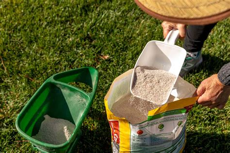 When To Fertilize Your Lawn In Spring And What To Use