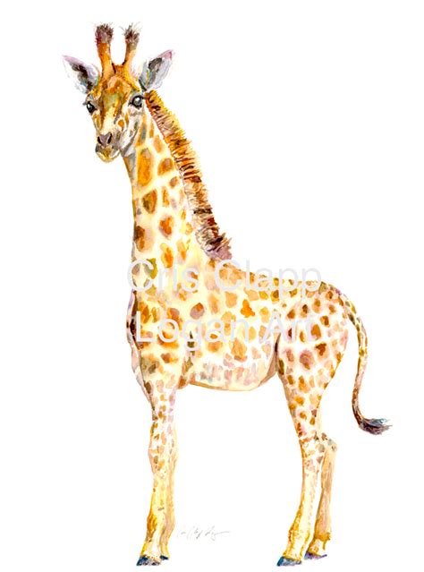 Baby Giraffe Original Safari Watercolor Painting