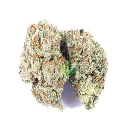 Pink Kush Strain Reviews Buy Weed Online Herb Approach