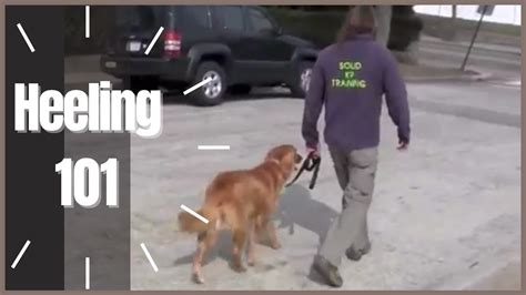 Heeling 101 How To Dog Training Solid K9 Training Youtube