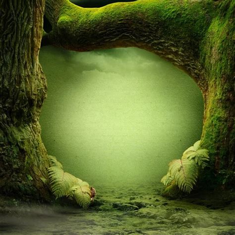 Laeacco Forest Backdrop Fairytale Green Old Tree Moss Grass Mystery Way