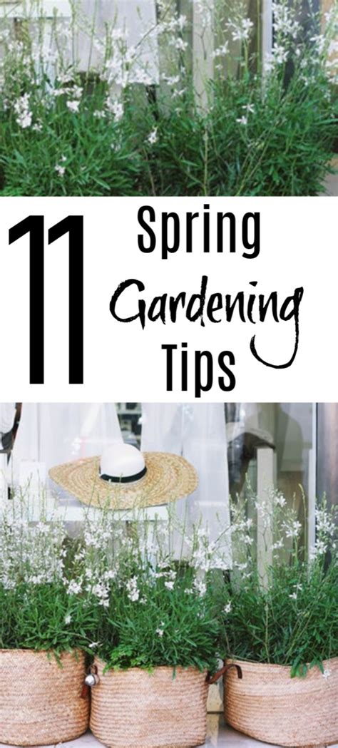 11 Spring Gardening Tips To Get You Started