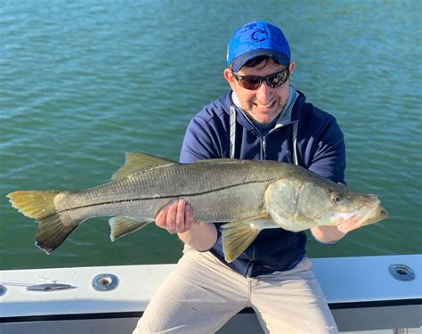 Check Out These Snook Fishing Tips And Tricks Fort Myers Fl