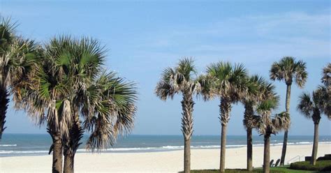 Beaches Of Jacksonville FL Northeast Florida S No Name Island