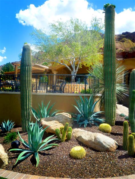 Awesome Best Desert Plants For Front Yard 2023