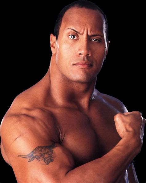Maybe you would like to learn more about one of these? World Wrestling Entertainment: The rock wrestler