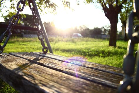 Wooden Swing In Garden In Morning Scene Wallpaper Hd Wallpapers