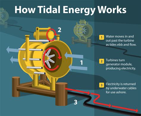 Tidal Energy Generation Working Advantages And Disadvantages Tidal