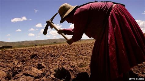 Undp Poverty Down In Latin America And The Caribbean Bbc News
