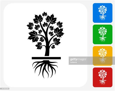 Growing Maple Tree High Res Vector Graphic Getty Images
