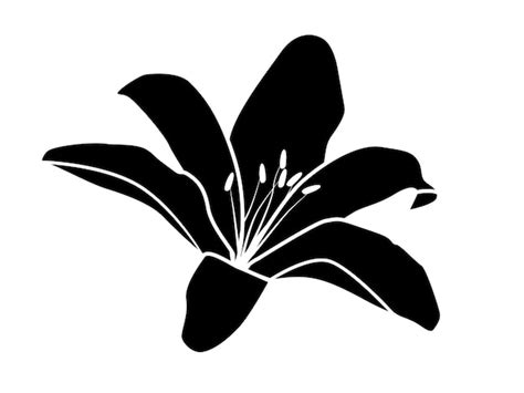 Premium Vector Lily Black And White Flower Silhouette