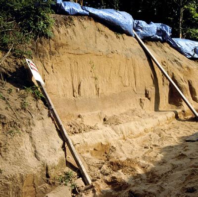 I go over the cactus hill site in virginia. excavations at a former sand-mining site at Cactus Hill ...