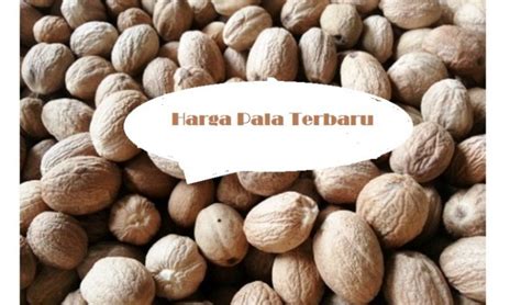 Yudi mengakui, meski dirinya beragama islam tetap menyampaikan ucapan hari raya kepada umat beragama lain. √ Harga Pala Terbaru Juli 2021 | WartaSolo.com - Berita ...
