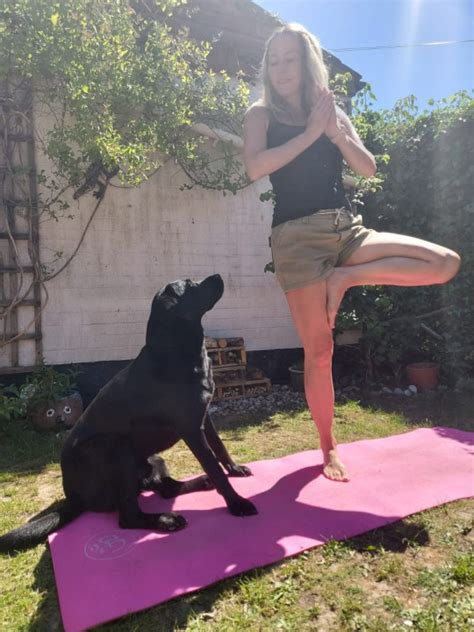 Dog Interrupts Owners Yoga Tutorial Video By Humping Pillow Metro News