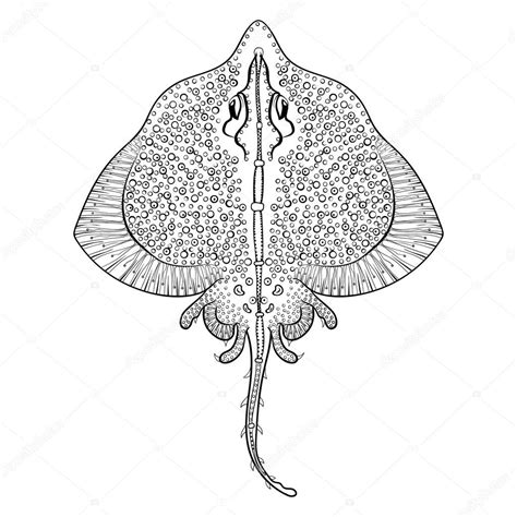Zentangle Stingray Totem For Adult Anti Stress Coloring Page For Stock