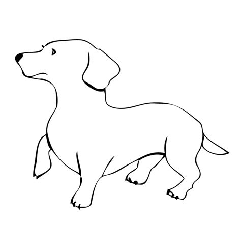 Free Outline Of A Dog Download Free Outline Of A Dog Png Images Free