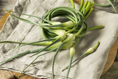 Garlic Scapes: A Unique Source Of Garlic Flavor | SPICEography