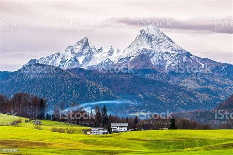 Green Meadow And Snowcapped Watzmann Mountain Bavarian Alps Germany