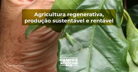 Agricultura regenerativa produção sustentável e rentável Revista
