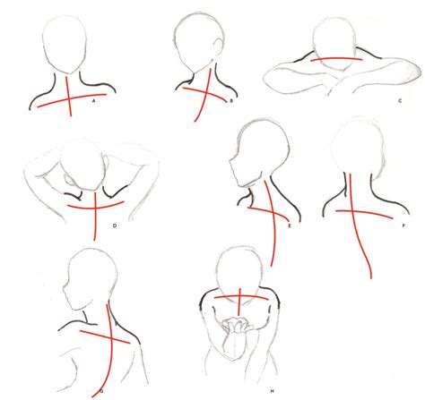 Neck And Shoulders Tutorial By Nstone53 On Deviantart Sketches