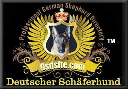 • 28 825 просмотров 2 года назад. Professional German Shepherd Directory: GSDsite.com