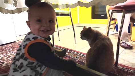 Baby Vs Cat Funny Video Youtube