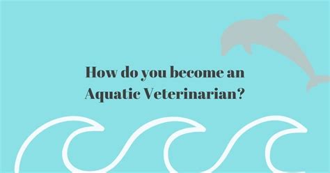 Aquatic Veterinarians Are Dvms That Specialize In The Healthcare And
