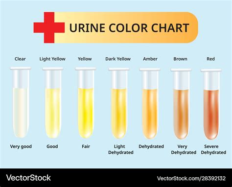 Urine Color Chart And Meaning Hubpages Urine Color Chart What Color