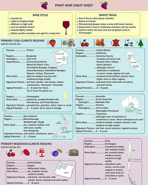 Pinot Noir Fact Sheet Std Facts Nursing Tips Sexually Transmitted