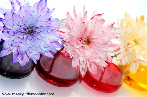 I have vases and bouquets do show them good places to put flowery colors so that they are happy with their special picture. Colour Changing Flowers Science Experiment - A fun science ...