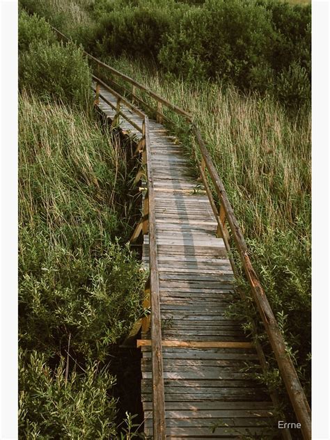 Swamp Bridge Photographic Print For Sale By Errne Redbubble