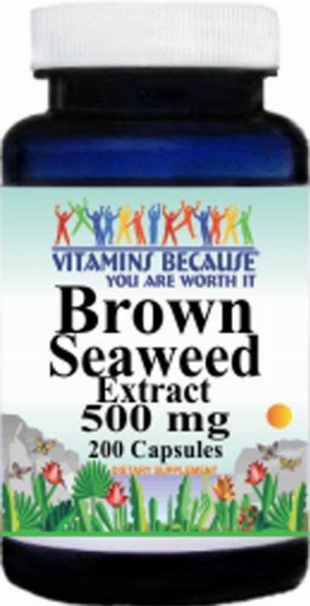 Brown Seaweed Extract 500mg 200caps 5 Fucoxanthin Nutrition And Food